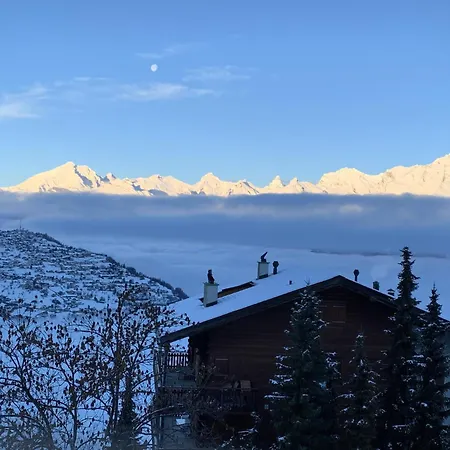 In Swiss Alps Near Cable Car 베이소나츠