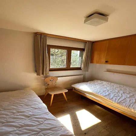 In Swiss Alps Near Cable Car * 베이소나츠